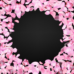 Pink falling sakura petals and flowers. Nature horizontal background