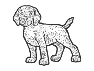 puppy dog sketch raster illustration