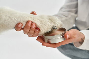 Girl putting paw of dog in wax pet paw print