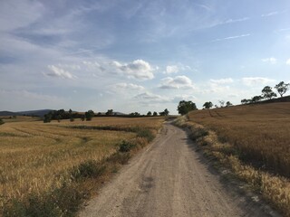 Obraz premium Road
