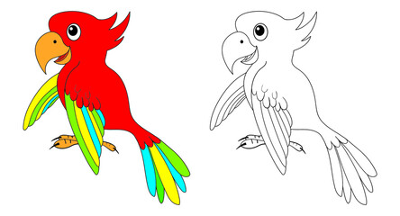 Cute cartoon colorful parrot for coloring book on white background vector illustration. Seamless pattern.