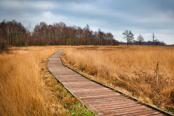 Torfmoor Bastauwiesen Biologische Station Minden Lübbecke