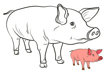 Pig. In the animal world. Black and white image. Coloring book for children. Vector drawing.