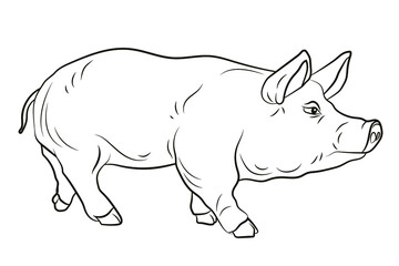 Pig. In the animal world. Black and white image. Coloring book for children. Vector drawing.