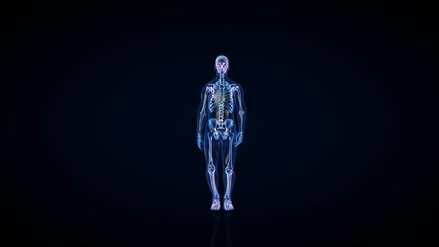 Athlete X-Ray Exercising Jumping Jacks, Seamless Loop, Luma Matte Attached