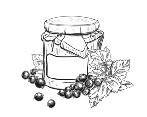 Hand drawn sketch black and white of blackberry, black currant jam, berry, jar, leaf. Vector illustration. Elements in graphic style label, card, sticker, menu, package. Engraved style illustration.