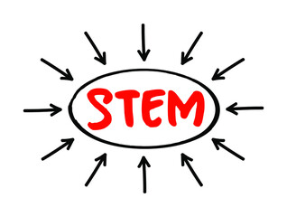 STEM - Science, Technology, Engineering, Mathematics acronym text with arrows, concept for presentations and reports