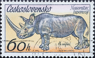 Czechoslovakia - circa 1976: A post stamp printed in Czechoslovakia showing a Black Rhinoceros...