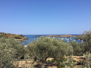 Fototapeta premium Landscape
