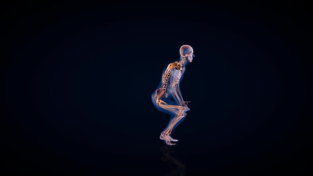 Human x-ray body and skeleton, lifting heavy object loop, Luma Matte