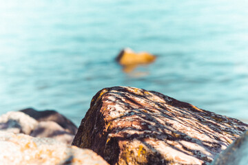focusing on the stone by the sea