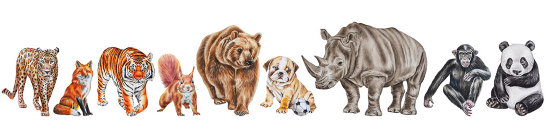 Obraz premium A team of adorable animals on a white background: leopard, fox, tiger, squirrel, bear, dog, rhino, monkey, panda. Watercolor, illustration, border. 