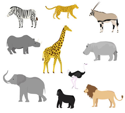 Set with African wild animals. Flat style. Giraffe, elephant, hippo, rhinoceros, zebra, monkey, orangutan, antelope, cheetah, lion, leopard, ostrich.