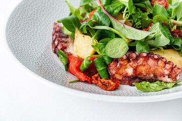 octopus salad on the white