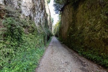 Fototapeta na wymiar Via Cava Il Cavone, the Etruscan Vie Cave (roads dug into the tuff). Città del Tufo archaeological park. Sorano, Sovana, Tuff city in Tuscany. Italy