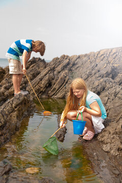 Friends fishing with nets at tidal pool