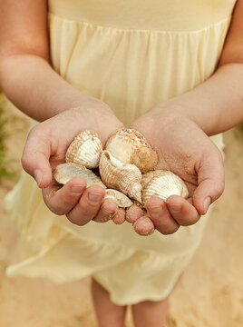 Girl with hands cupped holding seashells at beach