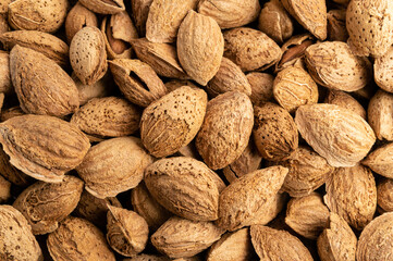 beautiful background with inshell almonds