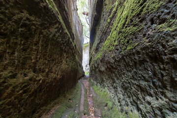 Via Cava San Sebastiano, the Etruscan Vie Cave (roads dug into the tuff). Città del Tufo...