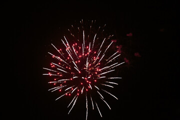 Beautiful fireworks on the black background.