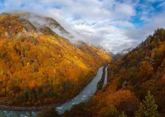 mountain slopes with dense trees and autumn forest with clouds and a mountain river 