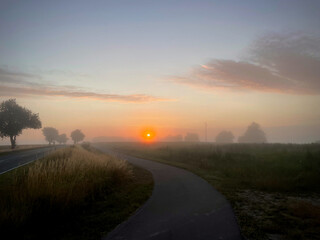 Radweg im morgendlichen Nebel bei aufgehender Sonne
