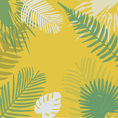 Fototapeta na wymiar Tropical beckgraund. Palm leaves.