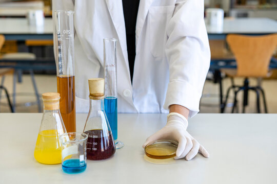 Young female scientist with object plate and laboratory equipment at desk