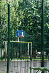  basketball in the yards