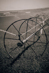 Irrigation sprinkler splashing water in the green field