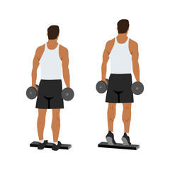 Fototapeta na wymiar Man doing Standing dumbbell calf raises exercise. Flat vector illustration isolated on white background. Workout character set