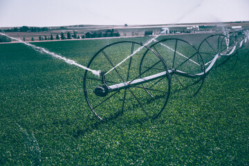Irrigation sprinkler splashing water in the green field