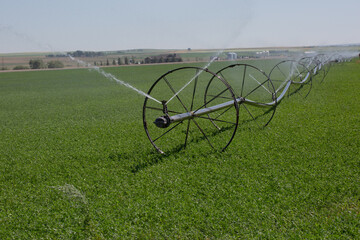 Irrigation sprinkler splashing water in the green field