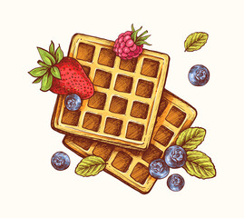 Hand drawn waffles with fruit in vintage engraved style. Breakfast Belgian waffles with blueberries, raspberries, strawberries and mint. Dessert, sweets, menu design, restaurant, shop.