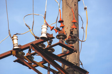 electric psilocybin mushrooms. electric line