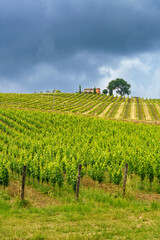 Fototapeta na wymiar Country landscape near Monterubbiano, Marche, Italy