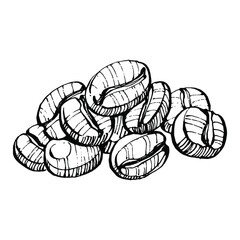 Coffee tree and beans in graphic style hand draw on white background. Isolated object with engraved style illustration. The best for design logo, menu, label, icon, stamp.