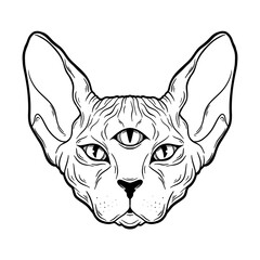 Cat sphinx three eyes vector hand drawn head. Sketch animal illuatration