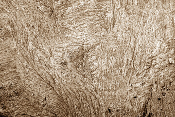 Сoncrete surface texture and background in brown tone.