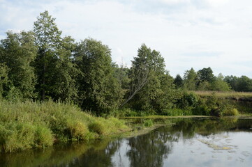 Fototapeta na wymiar The Nerl River at Babya Gora at the junction of the Yaroslavl, Ivanovo and Vladimir regions