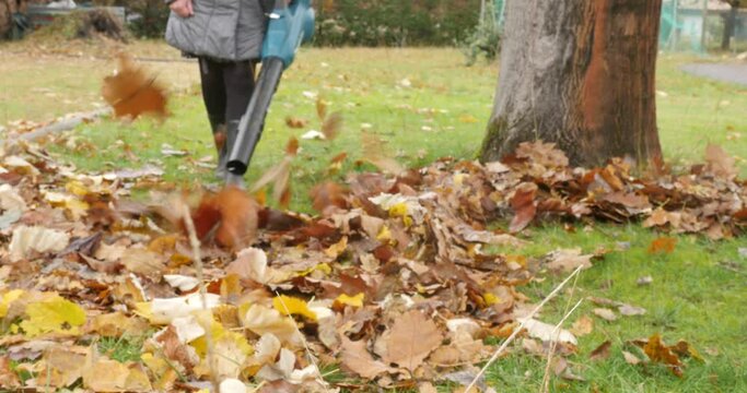 woman using electric leaf blower in garden