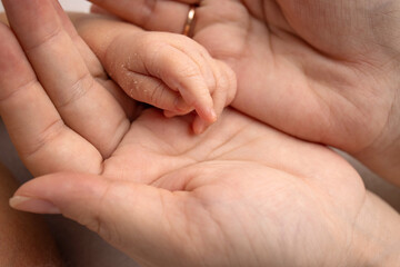 The palm of a newborn baby in the palms of the parents. Close-up of a small hand of a child and palms of mother and father. Parenting, childcare and health care concept.