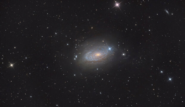 Fototapeta Astrophotography of Messier 63 spiral galaxy in Canes Venatici constellation