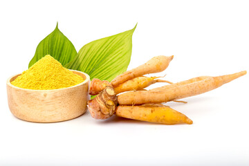 Fresh white galingale  (finger root) galingale powder in a wooden cup. Thai herbs to prevent...