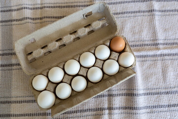 Closeup shot of brown and white eggs in a flat
