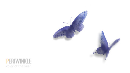 Two periwinkle butterflies on white background. Color of the year 2022