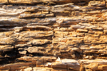 Wood wall made of split dry old wood. Sandy warm color, horizontal splits.