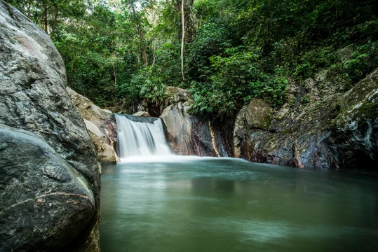 Minca colombie