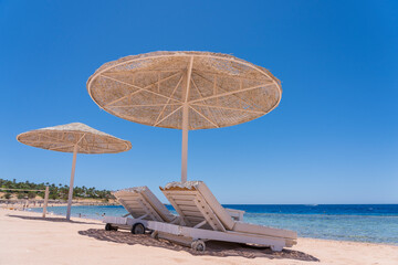 Luxury sand beach with beach chairs and white straw umbrellas in tropical resort in Red Sea coast in Egypt, Africa