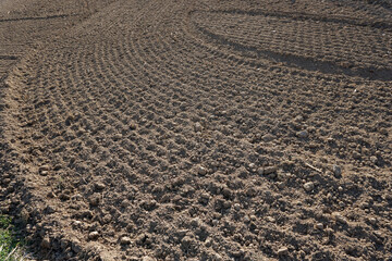 Preparing the soil in spring for growing vegetables on the countryside